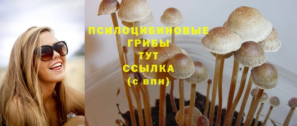 мдма Богородск