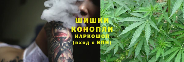 дживик Богородицк