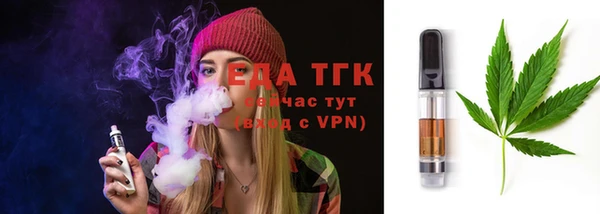 дживик Богородицк