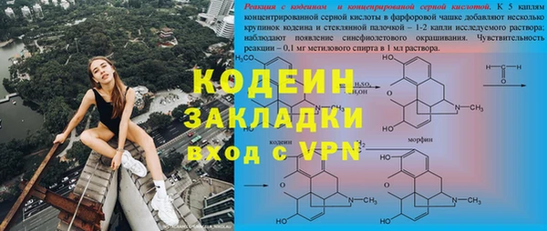 дживик Богородицк