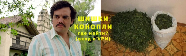 дживик Богородицк