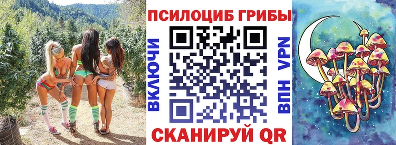 магазин продажи   Бузулук  ОМГ ОМГ ССЫЛКА  Псилоцибиновые грибы ЛСД 